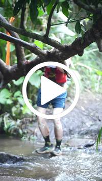 BIB:  <button type="button" onclick="openModal(27808892)" class="btn btn-primary btn-sm float-right" data-toggle="modal" data-target=".modal-high-quality">
                <i class="fa fa-download"></i> Download
                </button>